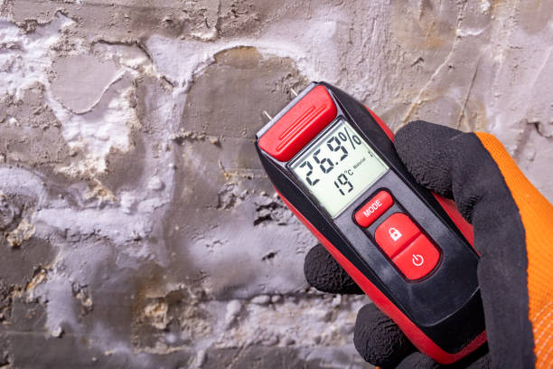 Best Water Damage Restoration  in Groveland, FL